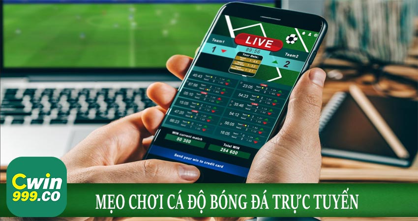 Mách Những Mẹo Chơi Cá Độ Bóng Đá Trực Tuyến