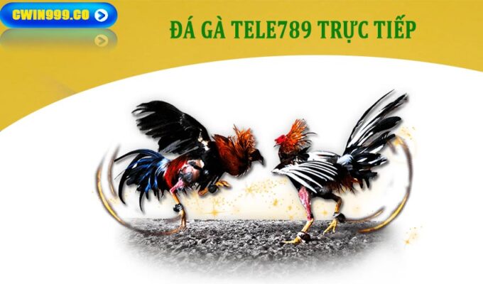 đá gà tele789 trực tiếp